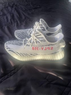 Yeezy 350 Zebra Size 10