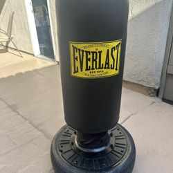 Everlast Punching Bag