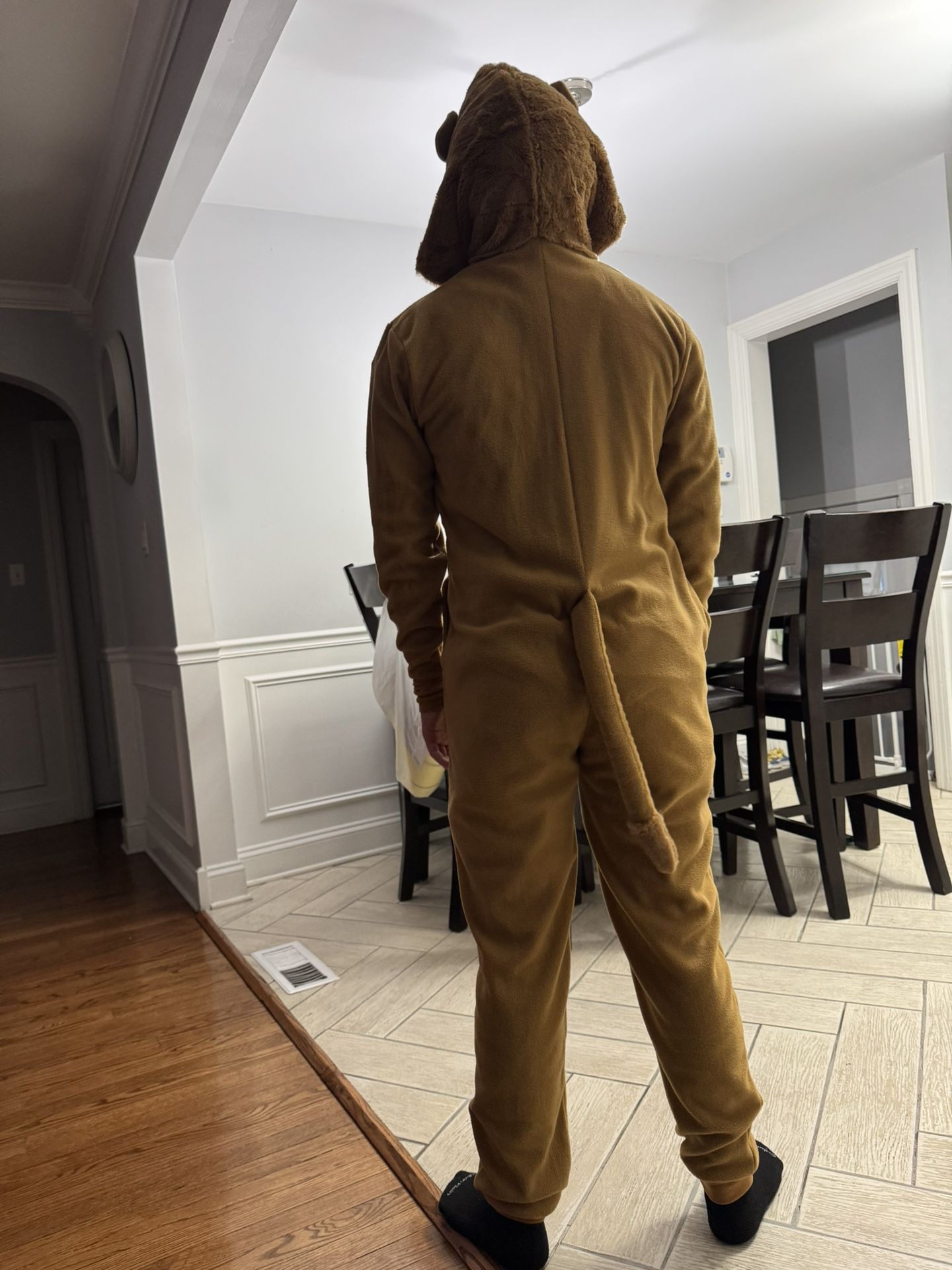 Adult Lion Costume