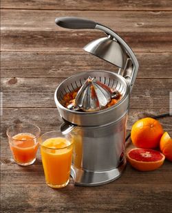 Breville Citrus Press Juicer (800CPXL) - Great Condition!