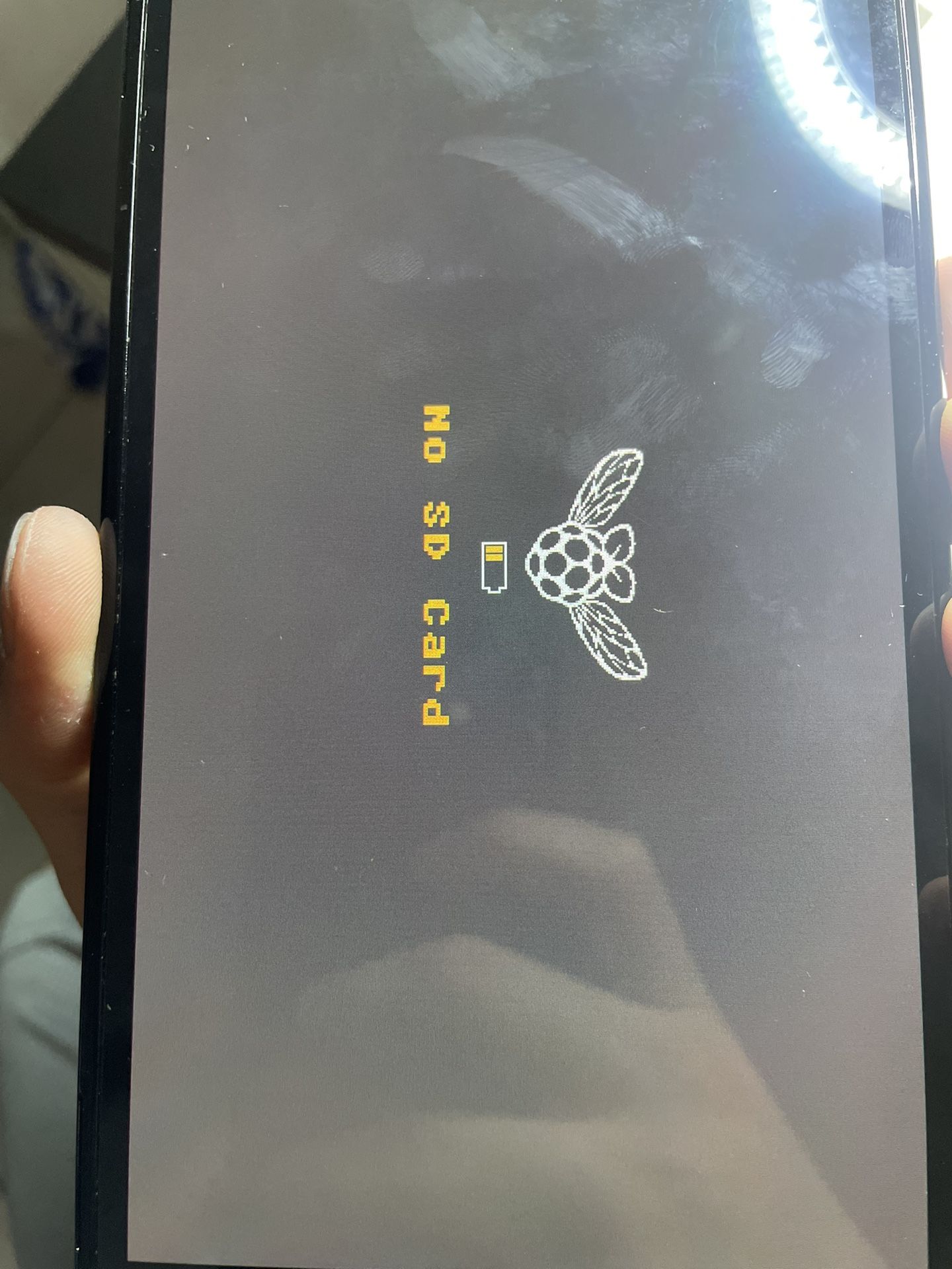 Nintendo Switch Modchip