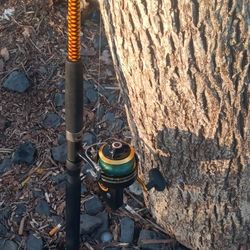 Fishing reel and rod Penn 710z And Ugly Stik 6'.6"