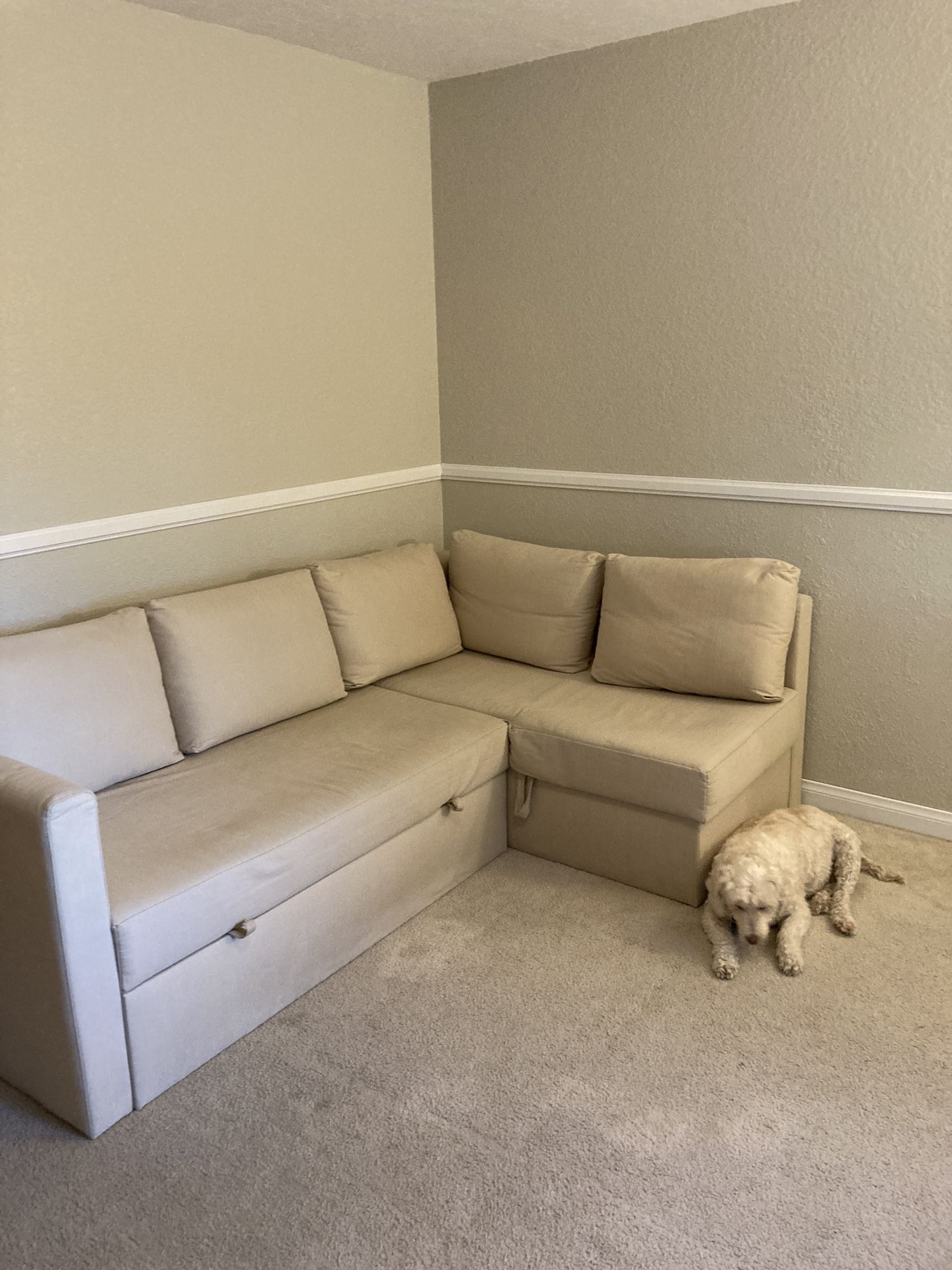 Couch, L-shape sectional, Sleeper sofa with Storage