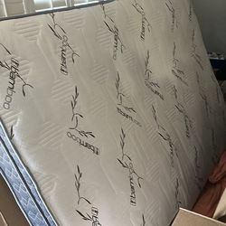 Queen Bed Mattress