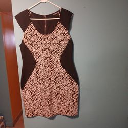 Express  dress size 12