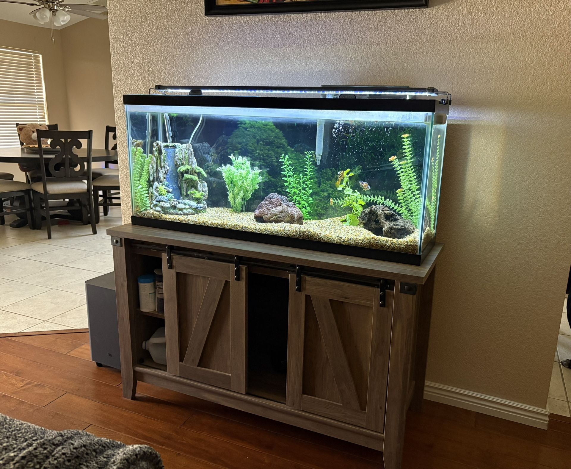 55 Gallon Aquarium