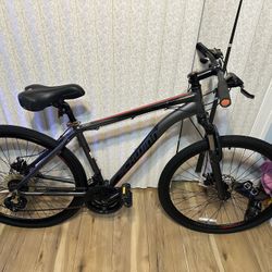 Schwinn ASB Dual Sport Bike