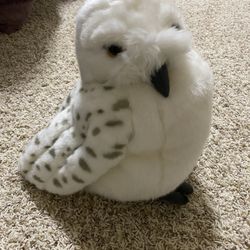 Hedwig Harry Potter Owl