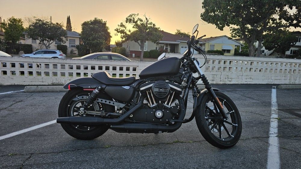 2019 Harley Davidson Iron 883 Sportster