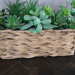 Artficial Plant
