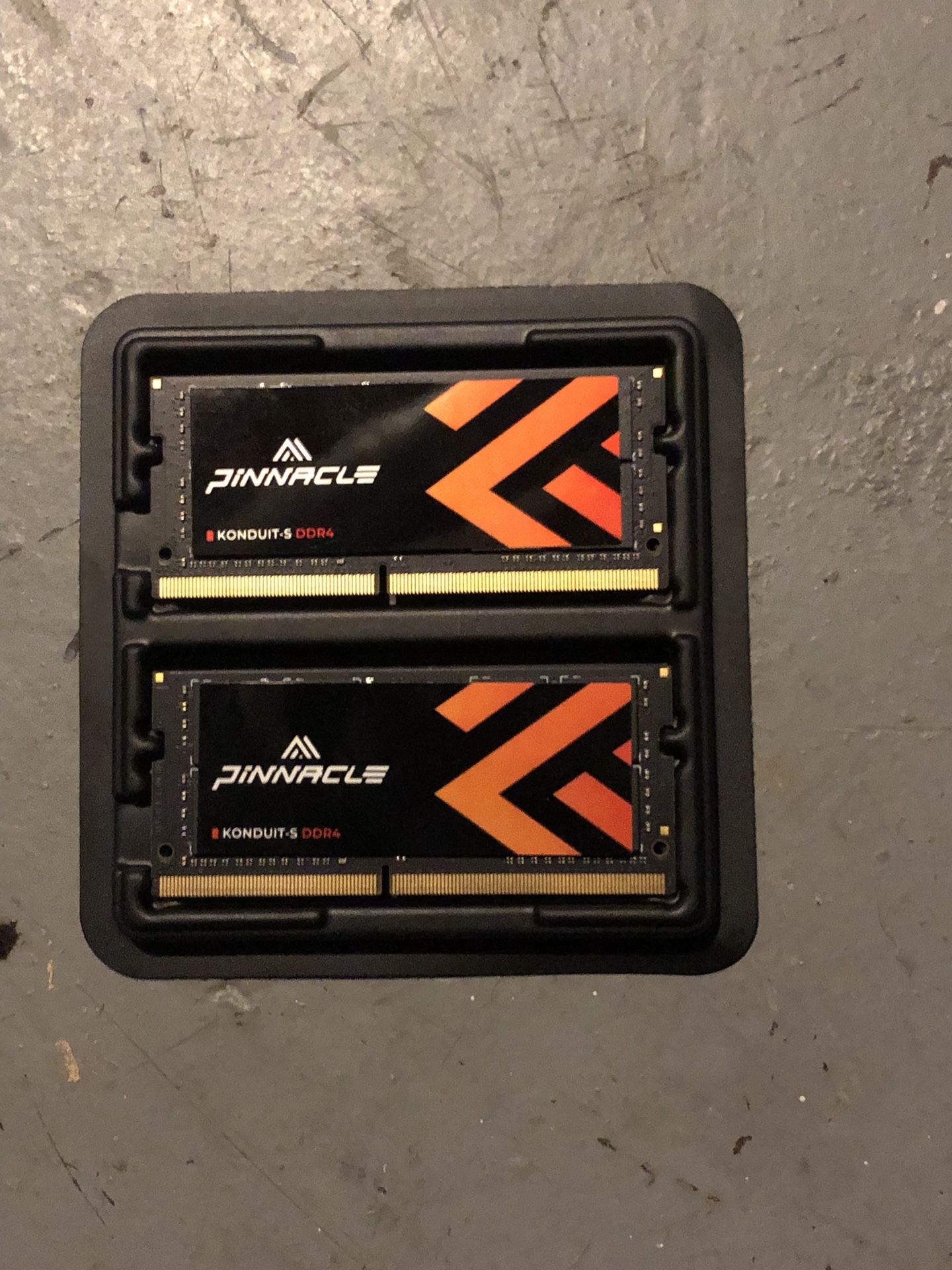 Two 32 GB Ram Sticks