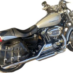 2005 Harley Roadster