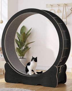 Cat Wheel Exerciser for Indoor Cats, 43.3 inch Solid Wood Cat Exercise Running Wheel with Carpeted Runway, Ultra Low Noise Cat Treadmill Wheel