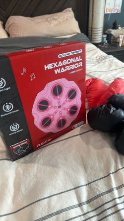 Boys - Boxing Target Toy - Hexagonal Warrior