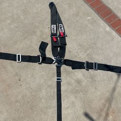 Crow 5 Point Seat Belt