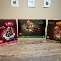 LEGO Botanical Collection Bundle – Succulents, Flowering Cactus & Chrysanthemum 