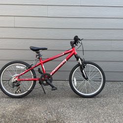 Schwinn Scour Mountain Bike 20” Wheels