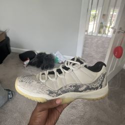 Jordan 11 Low