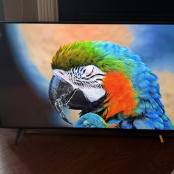 LG 55" Class UR8000 Series LED 4K Smart TV