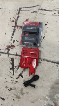Milwaukee. Battery s.  6.0. High output (2) and rapid charger.