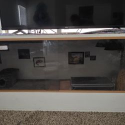 Reptile Enclosure 6'x2'x2'