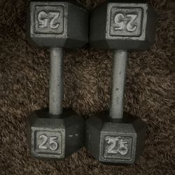 2: 25lb Dumbbells 