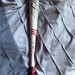 MARUCCI CAT8 -3 31