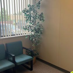 Fake Plant For Sale