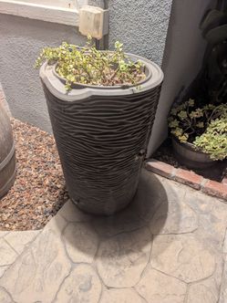 50 gallon rain barrel.