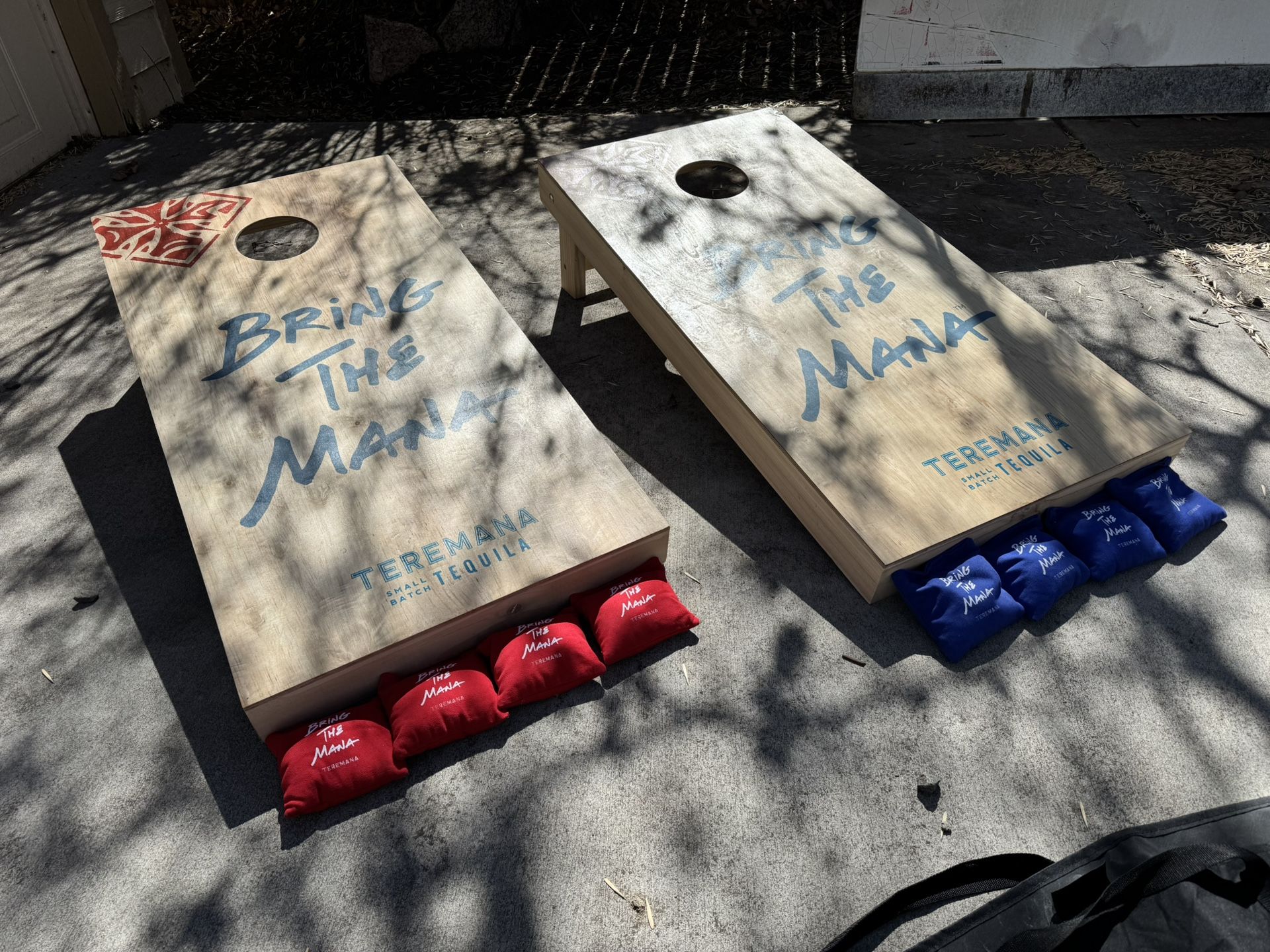 Corn Hole Set