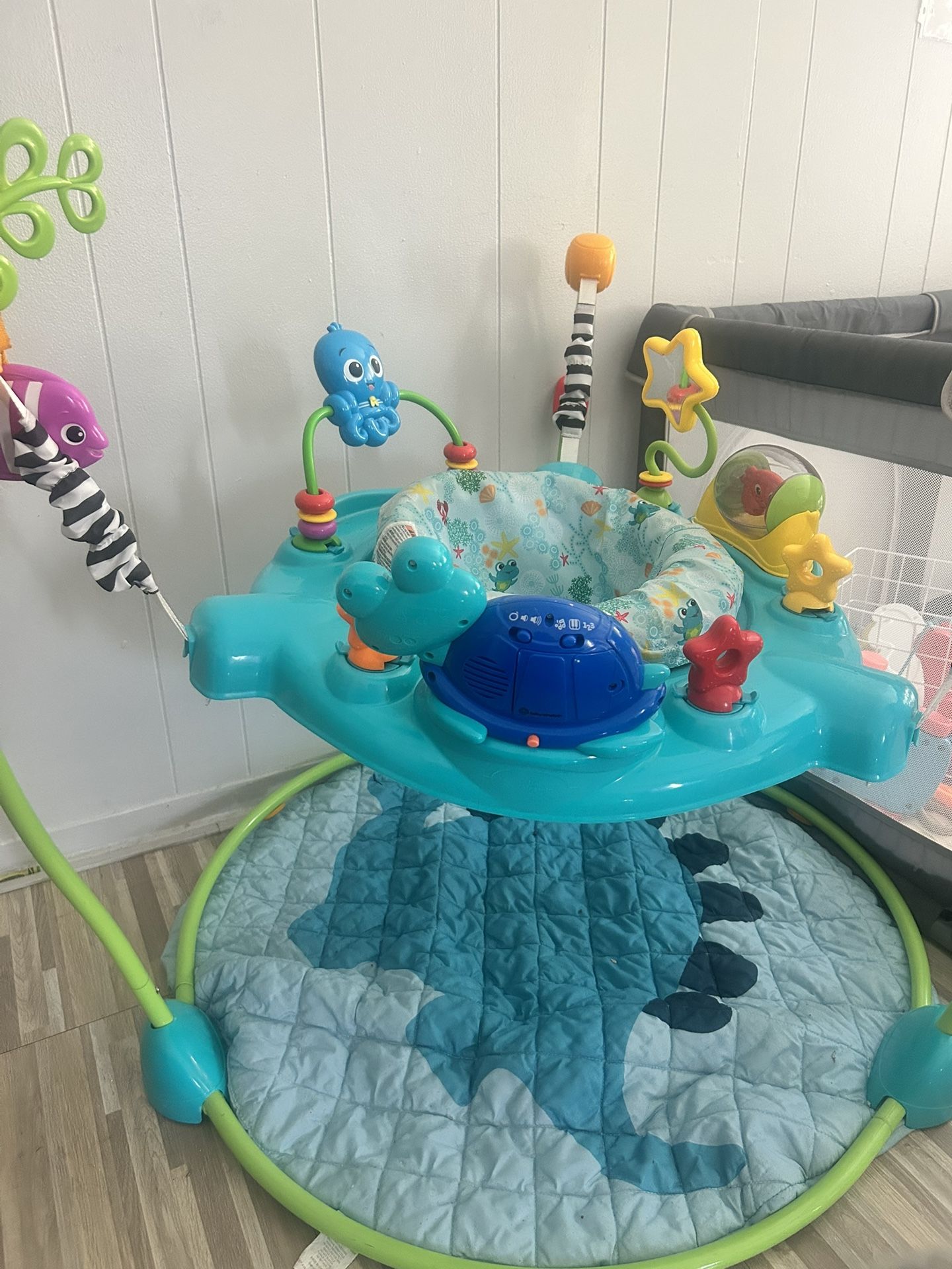 Baby Einstein Bouncer