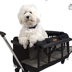 Travel Puppy Carrier 