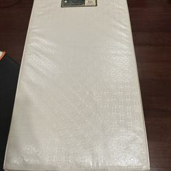 Sealy soy bean crib mattress