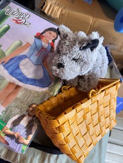 Dorothy and Toto from Wizard of Oz costume