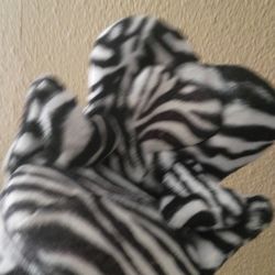 Mini couch zebra print jewelry organizer