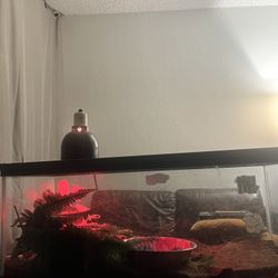 20 Gallon Long 