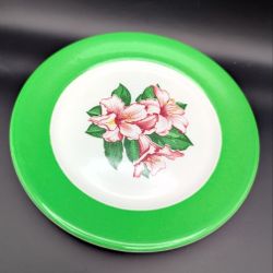 1 Shenango Fine China  Rhododendron w/Green band