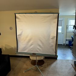 Movie Screen / Projector Screen