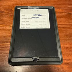 iPad 