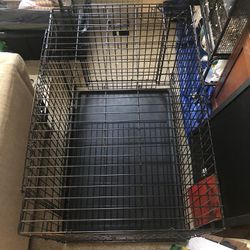 Large Kong Dog Crate
