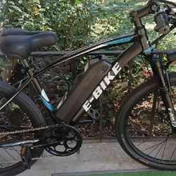 Mountain E Bike