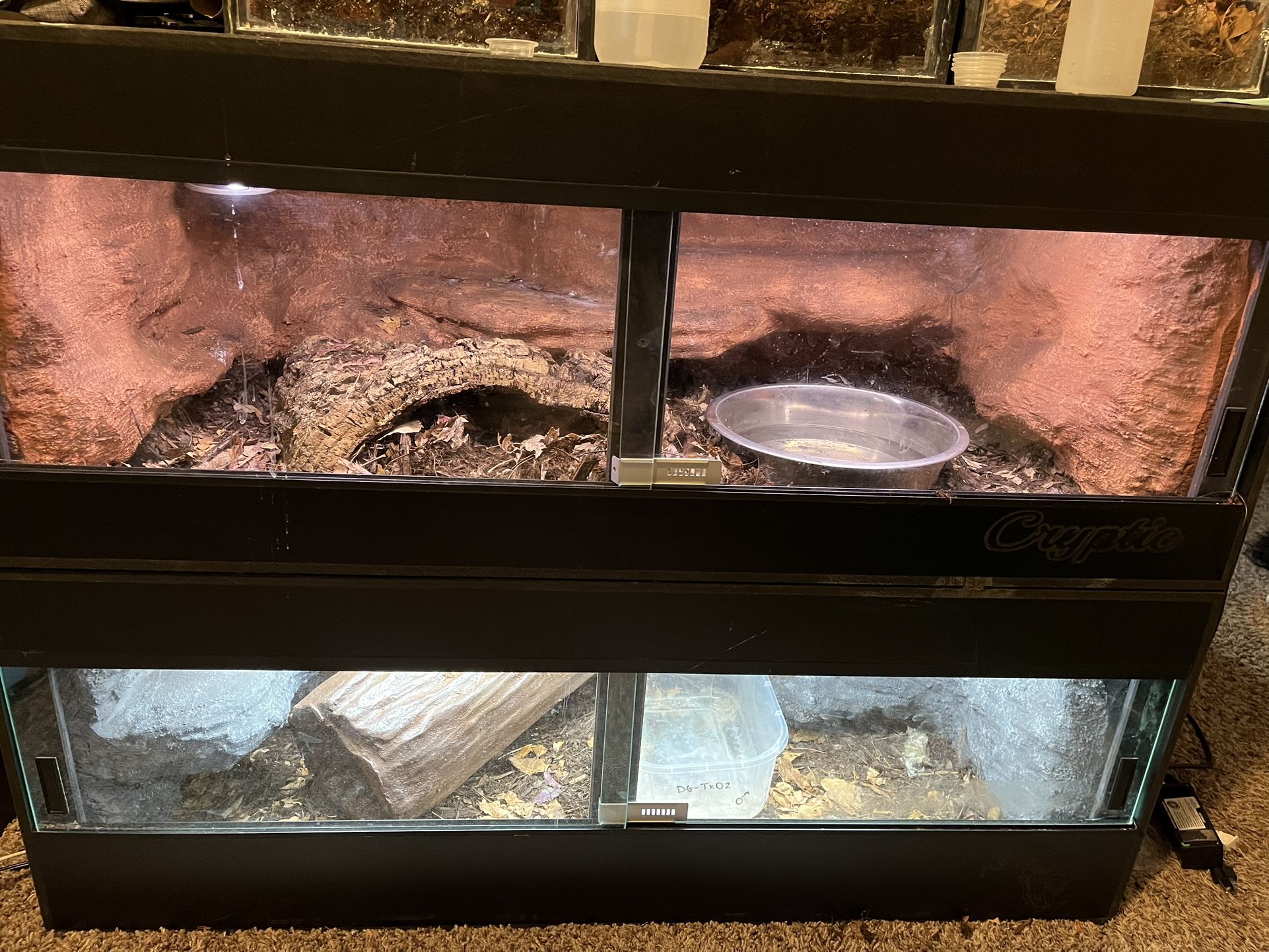 LARGE PVC Snake / Reptile Enclosures