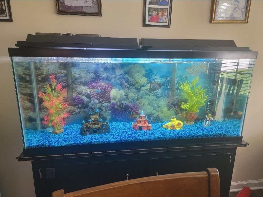 55 Gallon Fish Tank And Stand  And Fish