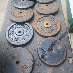 225 Pounds Of Standard Gym Weights $180 For All