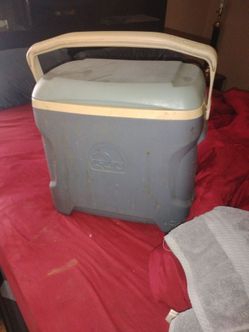 Igloo and a styrofoam cooler