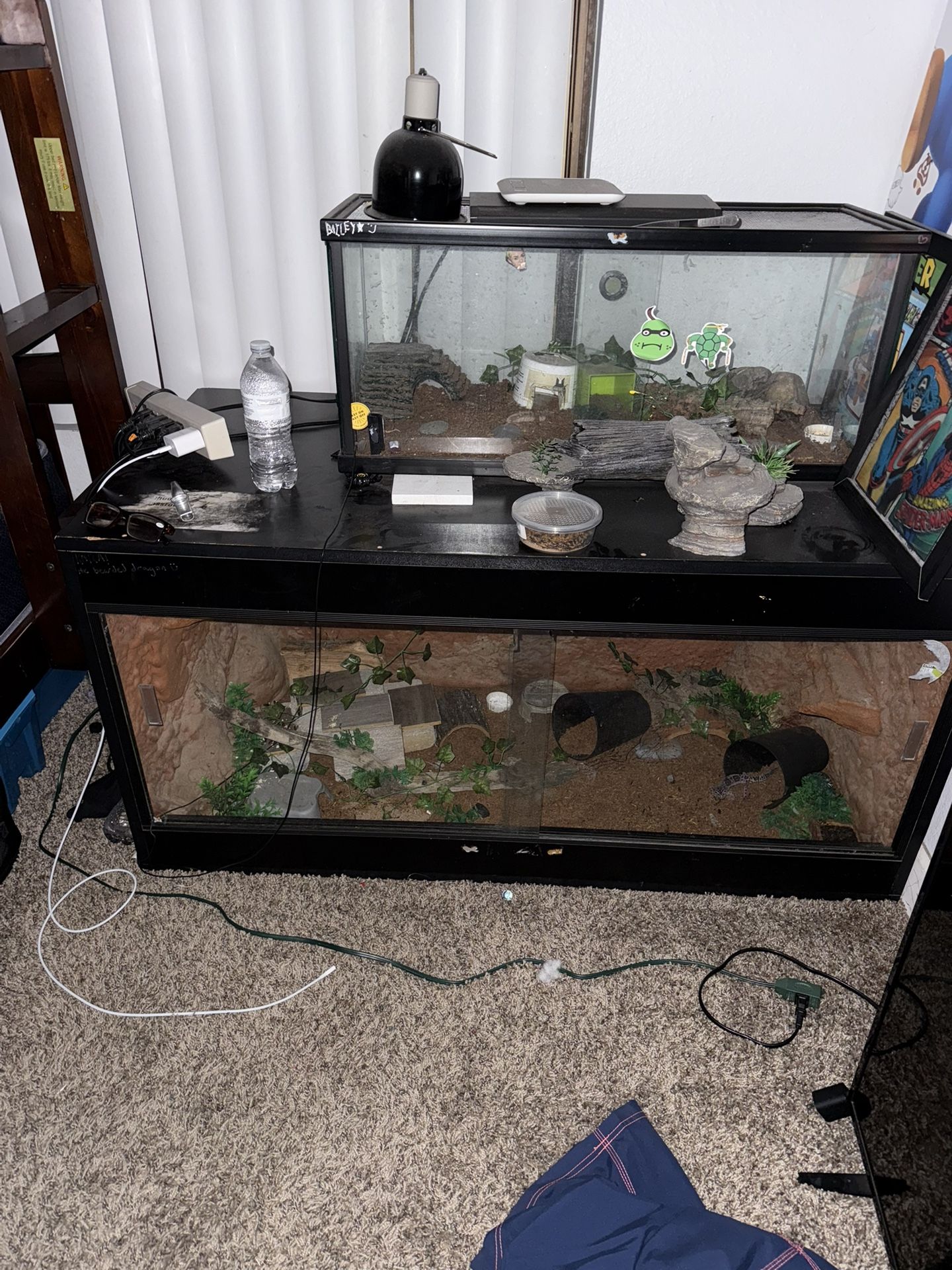 Reptile Enclosures With Accessories