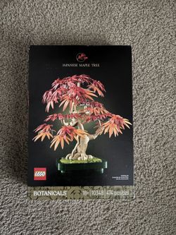 Japanese Maple Tree