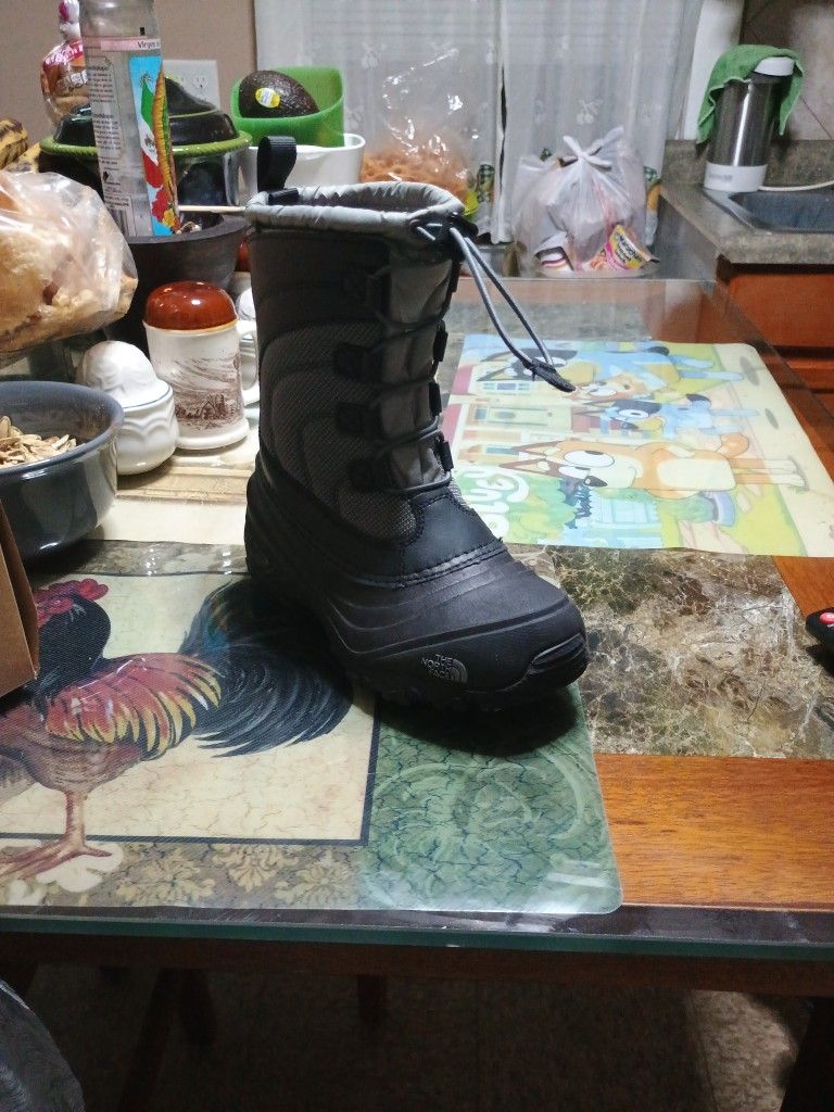 The North Face Boots