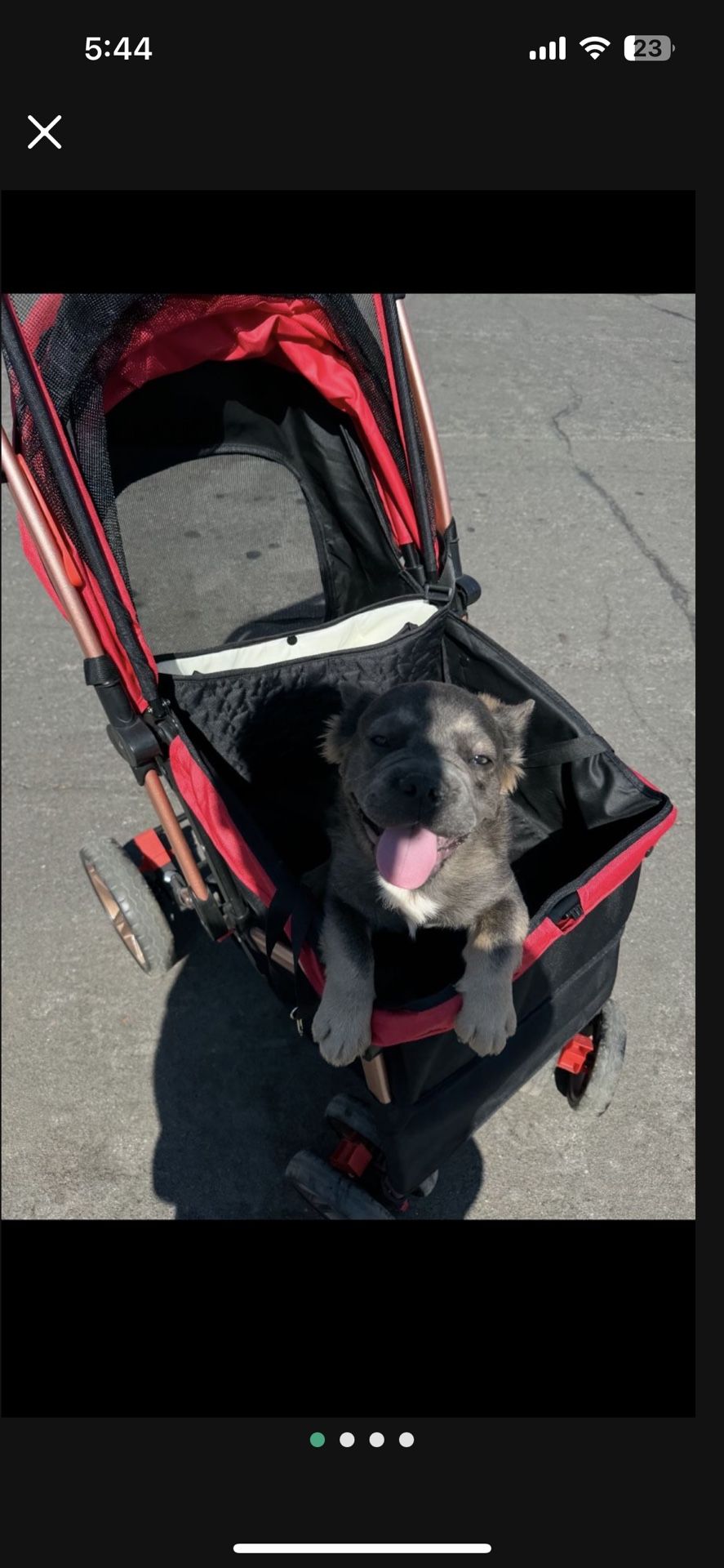dog stroller with mommy bag