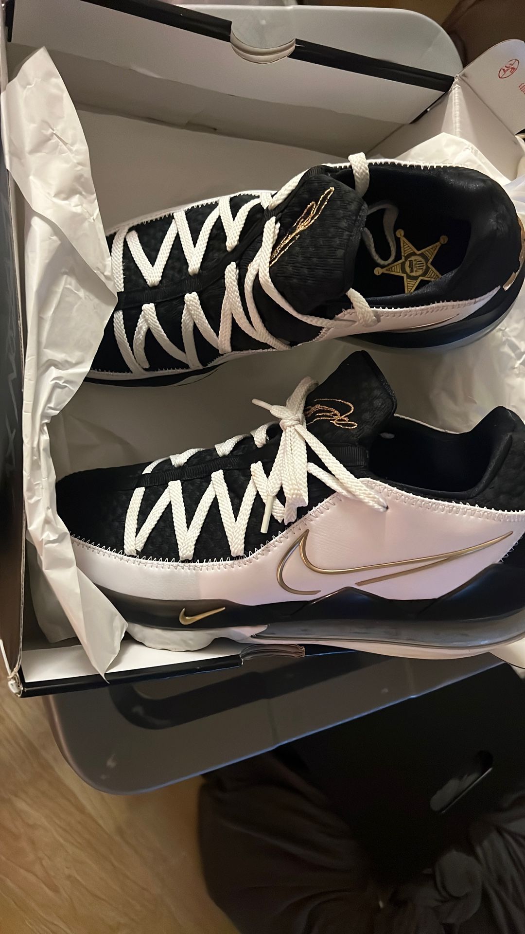 Lebrons Size 13
